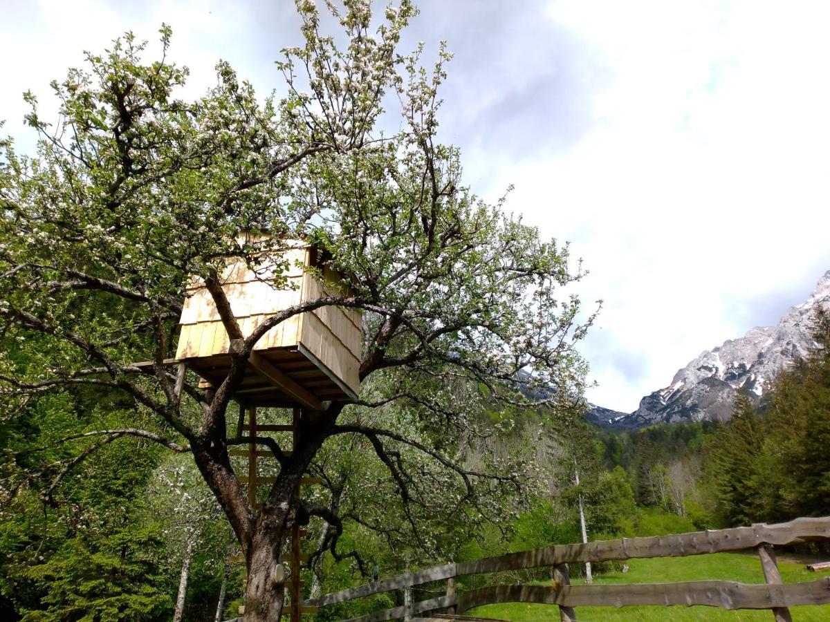 Camping & Glamping Grintovec Preddvor Buitenkant foto
