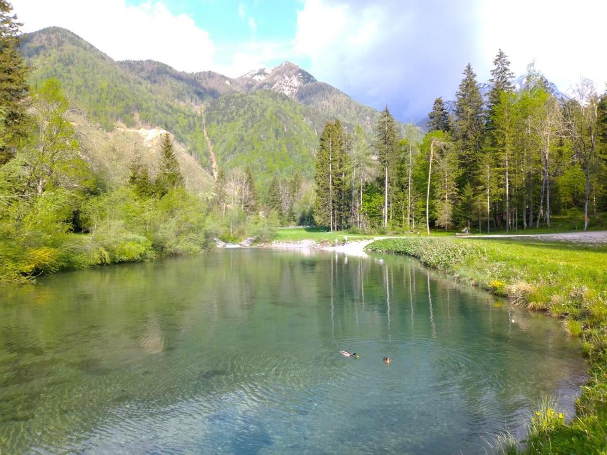 Camping & Glamping Grintovec Preddvor Buitenkant foto