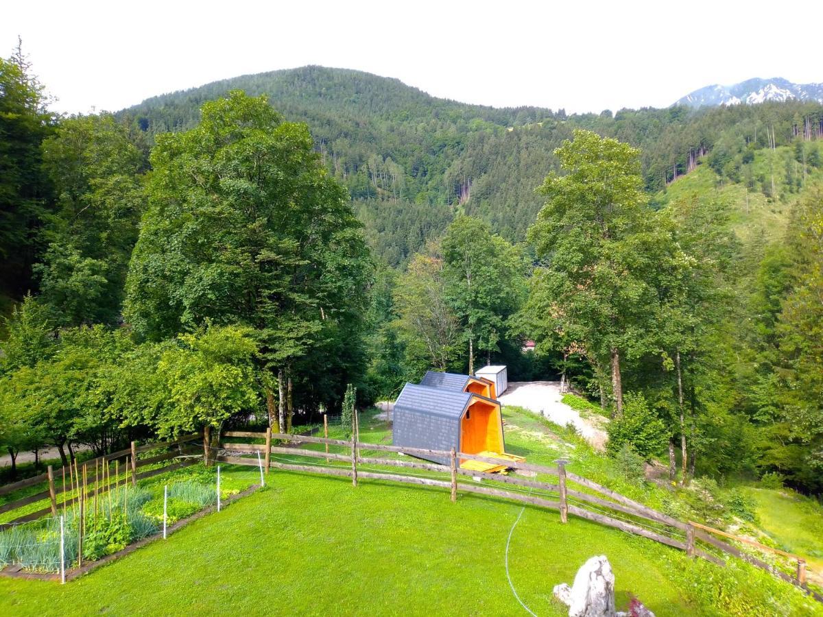 Camping & Glamping Grintovec Preddvor Buitenkant foto