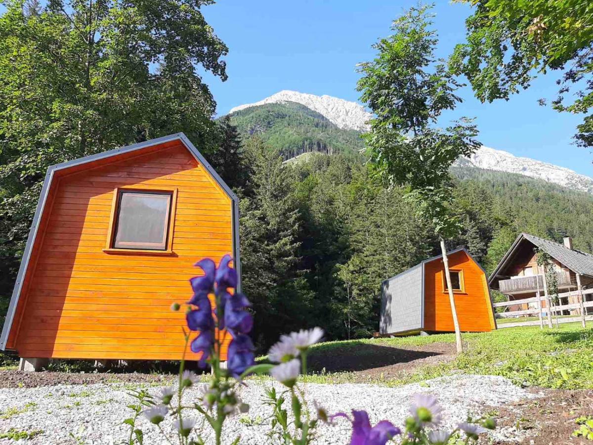 Camping & Glamping Grintovec Preddvor Buitenkant foto