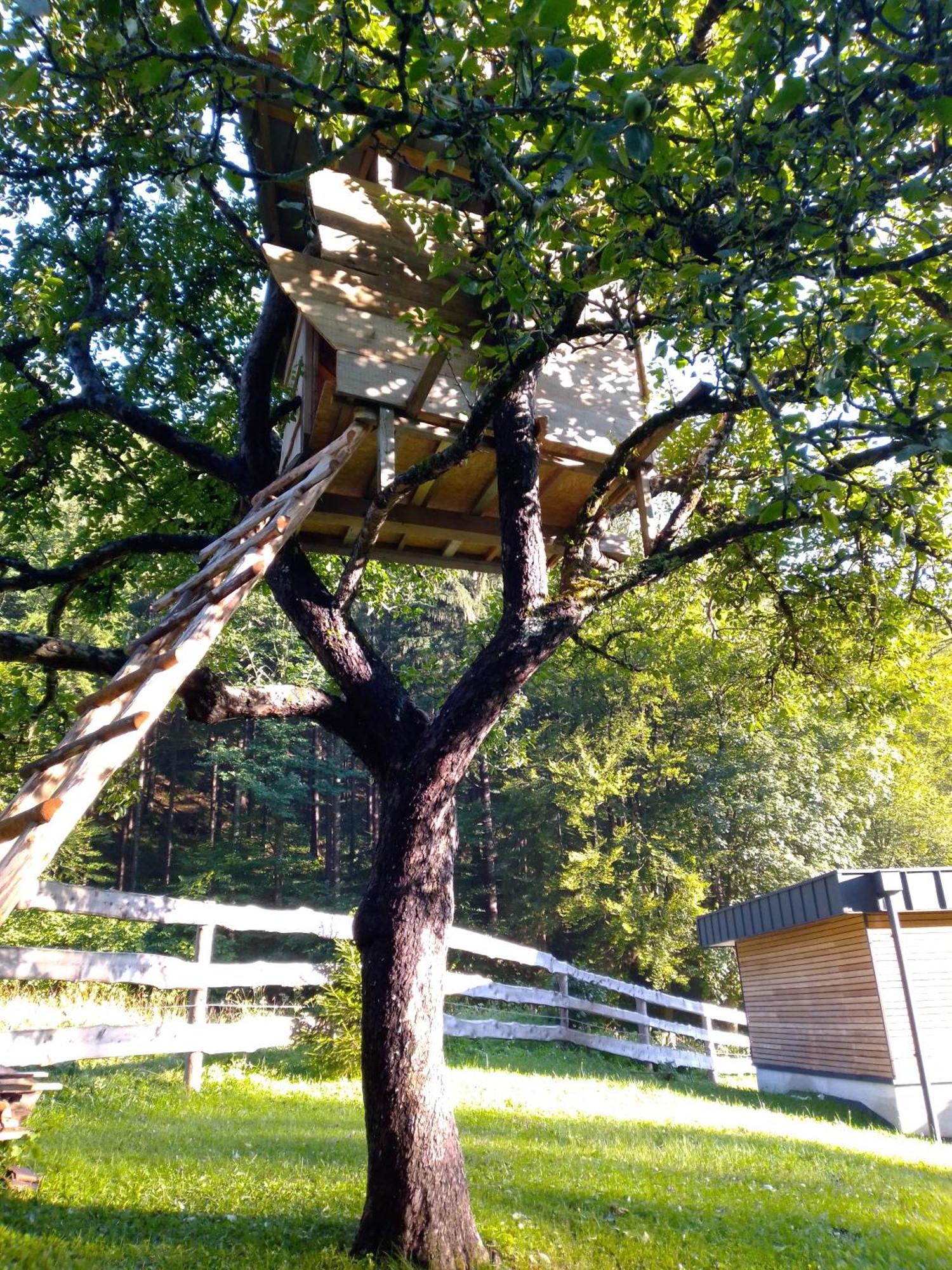 Camping & Glamping Grintovec Preddvor Buitenkant foto