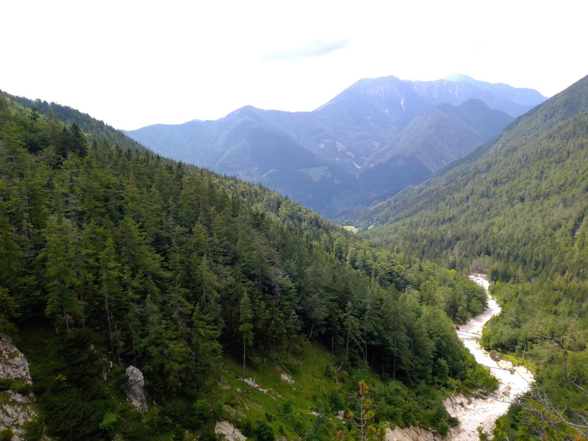 Camping & Glamping Grintovec Preddvor Buitenkant foto