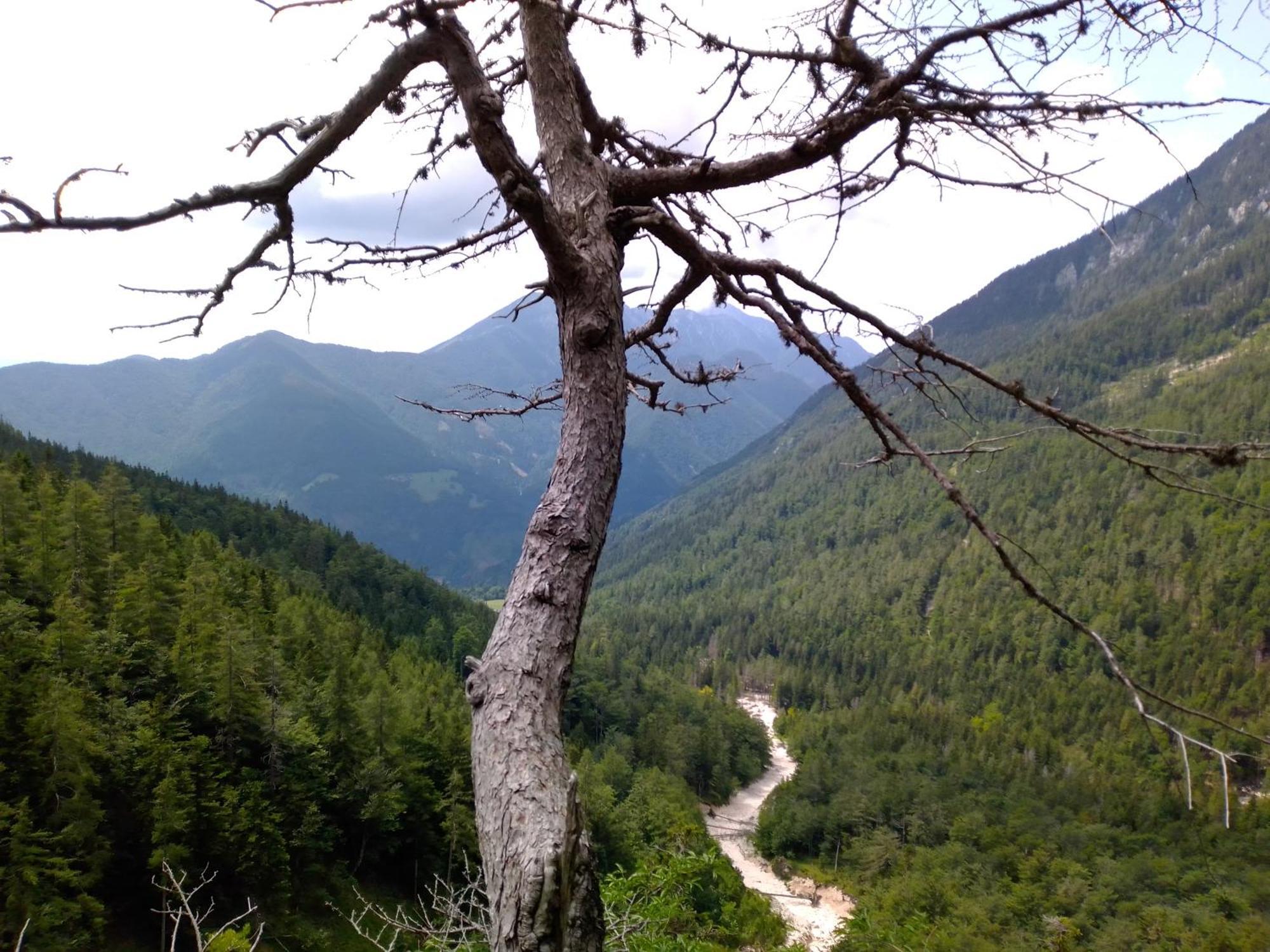 Camping & Glamping Grintovec Preddvor Buitenkant foto