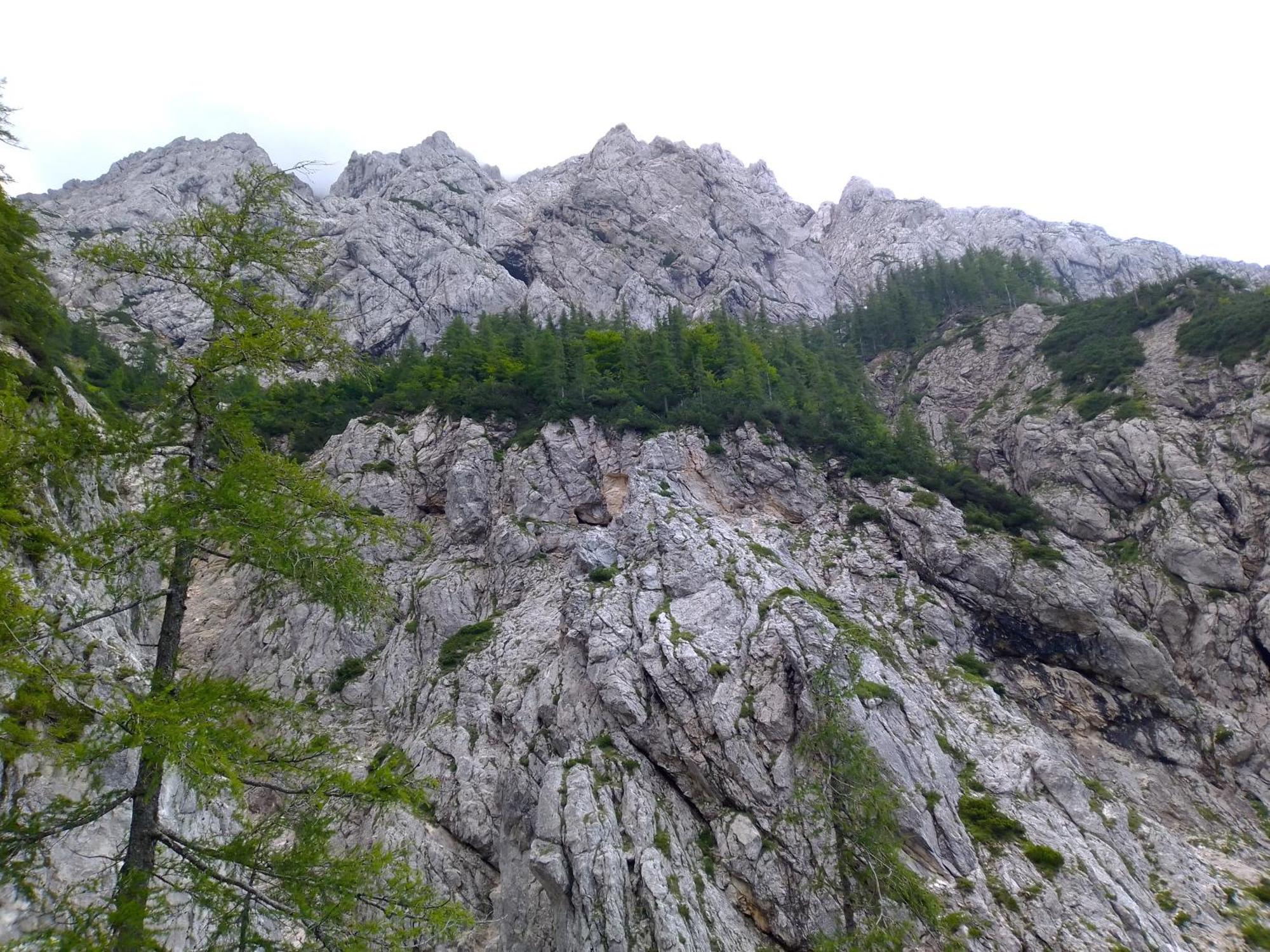 Camping & Glamping Grintovec Preddvor Buitenkant foto