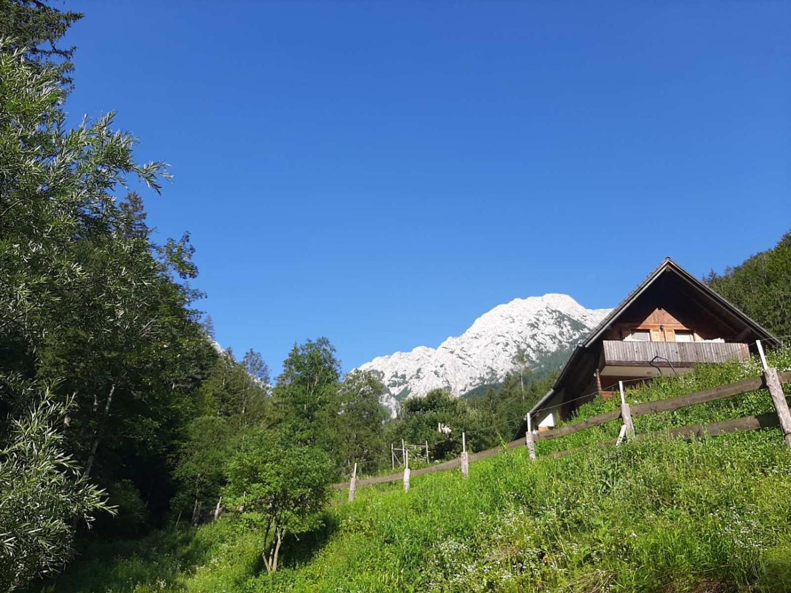 Camping & Glamping Grintovec Preddvor Buitenkant foto