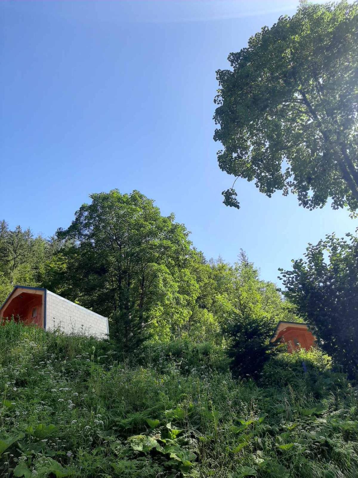 Camping & Glamping Grintovec Preddvor Buitenkant foto