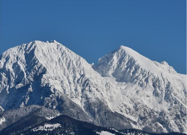 Camping & Glamping Grintovec Preddvor Buitenkant foto