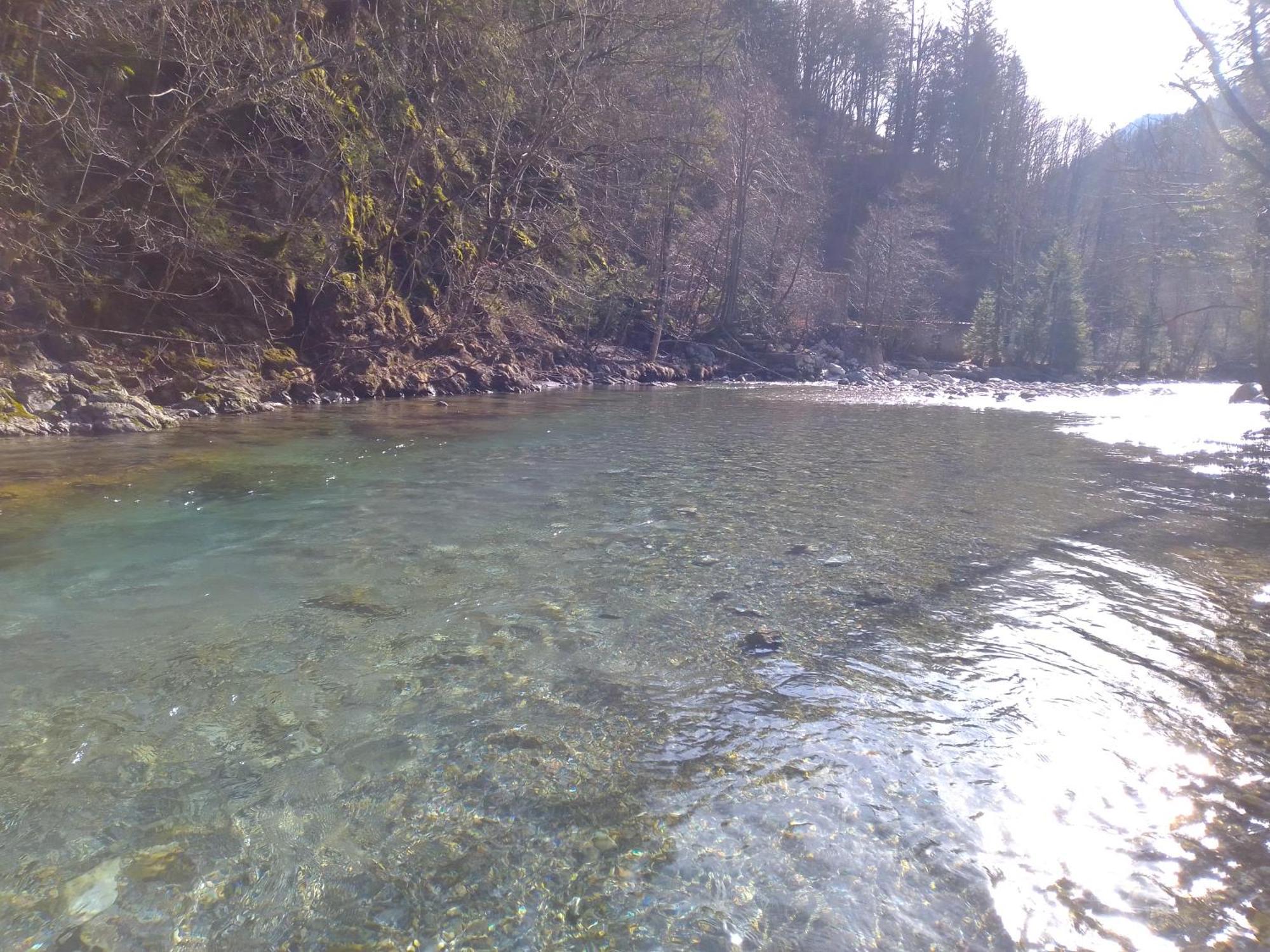 Camping & Glamping Grintovec Preddvor Buitenkant foto